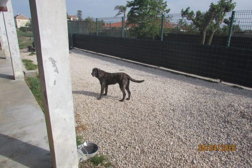 camposdolis.com 2025.09.14 F05-01