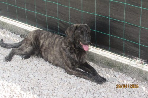 camposdolis.com 2025.09.14 F05-05