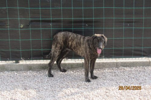 camposdolis.com 2025.09.14 F05-11