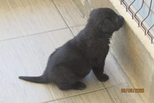 camposdolis.com 2026.05.12 F01-09