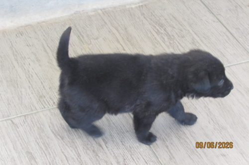 camposdolis.com 2026.05.12 F01-10